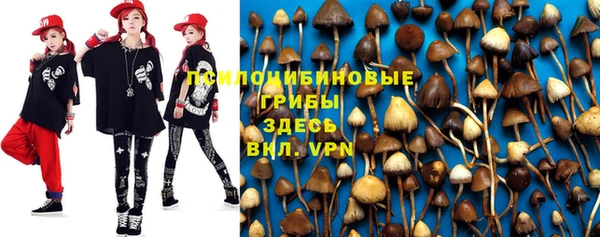 ГАЛЛЮЦИНОГЕННЫЕ ГРИБЫ Аркадак