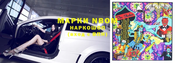 ГАЛЛЮЦИНОГЕННЫЕ ГРИБЫ Аркадак