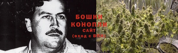 ГАЛЛЮЦИНОГЕННЫЕ ГРИБЫ Аркадак
