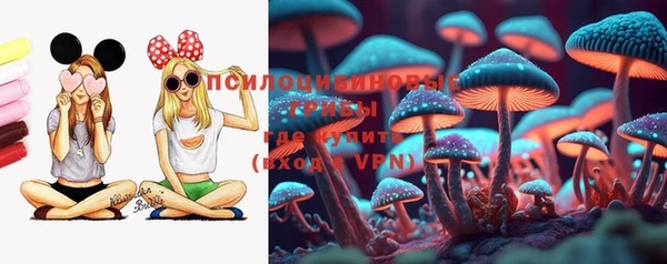 метадон Армянск