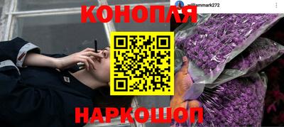 не бодяженный Бийск