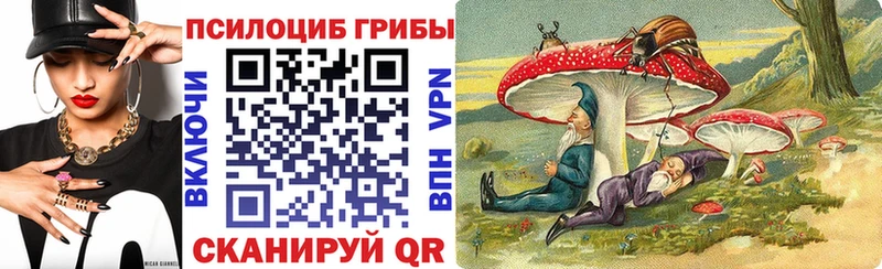 где купить наркотик  Воскресенск  Псилоцибиновые грибы MAGIC MUSHROOMS 