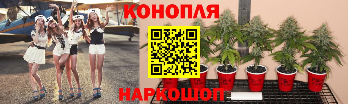 Каннабис конопля  Канабис White Widow  Воскресенск  Бошки марихуана MAZAR  Бошки марихуана тримм  Вход с VPN 